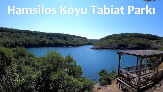 SİNOP HAMSİLOS KOYU TABİAT PARKI I Hamsilos Nature Park I HamsilosNaturpark sinop [upl. by Alius329]