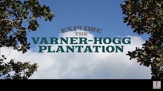 Explore the VarnerHogg Plantation [upl. by Ramirol383]