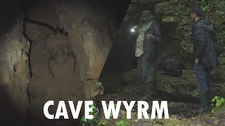 Finding a Cave Wyrm [upl. by Haerb388]