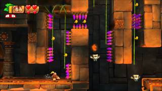 Donkey Kong Country Tropical Freeze  100 Walkthrough  1K Swinger Flinger Puzzle Pieces [upl. by Janith]