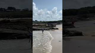 holidays coast cornwall vanlife motorhome labrador beach [upl. by Caputto]