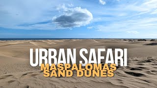 Walking and discovering the Sand Dunes of Maspalomas 4K60fps [upl. by Artapoelc]