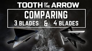 Comparing 3 blade and 4 blade broadheads [upl. by Enaelem]