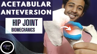 HIP JOINT PROXIMAL ARTICULATION HIP JOINT COMPLEX BIOMECHANICSPhysiotherapy Tutorials [upl. by Eidok103]