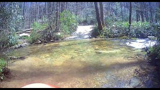 Creek Crossing near Horse Pasture Road in Jocassee Gorges Wilderness area in upper SC [upl. by Nnylirret624]