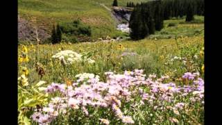 Lakeview Campground at Taylor Park Reservoir  JULY 2013 [upl. by Atinomar]