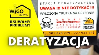 Deratyzacja  jak wykonać deratyzację  jaka trutka na szczury [upl. by Bilek156]