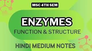 Enzymes  Msc 4th sem  biochemistry  hindi medium notes mscnotes chemistry msc4thsemnotes [upl. by Jakob]