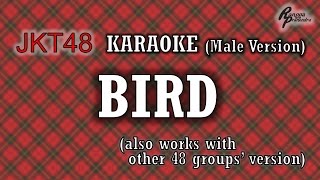 JKT48  Bird KARAOKE Male Version [upl. by Nylsoj]