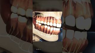 Tooth cavity and cure music shorts dentist health human teeth music [upl. by Atiragram212]