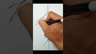 How to draw Tap Root shorts [upl. by Rozina980]