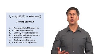 An Approach to Peripheral Edema [upl. by Plank509]