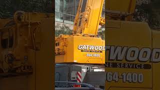 Gatwood Crane [upl. by Petula]