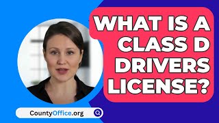 What Is A Class D Drivers License  CountyOfficeorg [upl. by Ellehctim203]