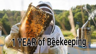 Becoming a Beekeeper  Day 1 till Day 365  my first Honey Harvest  1 year of Keeping bees [upl. by Wes]