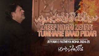 ZAEEF HOGAI ZEHRA TUMHARE BAAD PIDAR  Dr Amir Rizvi  Ayyam e Fatmiyah  Bibi Fatima Noha 202425 [upl. by Arno649]