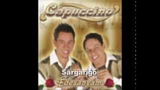 Capuccino együttes  Sárgarigó  2004 official audio [upl. by Shaffert254]