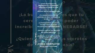 MEJORA TU MEMORIA Neurogénesis y la Producción de NEURONAS neorogenesis memoria neurogenesis [upl. by Ebbie]