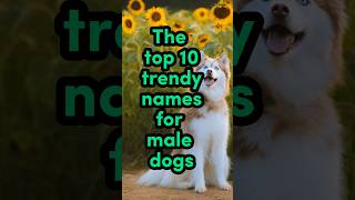 dog doglover dognames [upl. by Dunham]