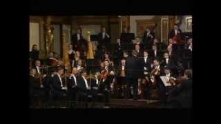 25092011 Вена Концертный зал Musikverein [upl. by Komsa]