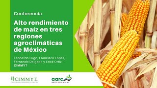 Alto rendimiento de maíz en tres regiones agroclimáticas de México [upl. by Aipotu]