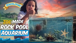 Make a Rock Pool Aquarium for Sea Creatures With Zoe [upl. by Katrinka]