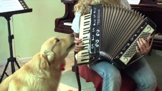 Mozart El perro Cantante Y Pianista [upl. by Clein]