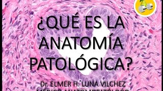 ¿QUÉ ES LA ANATOMÍA PATOLÓGICA  Dr Elmer Luna Vilchez [upl. by Ahseket]