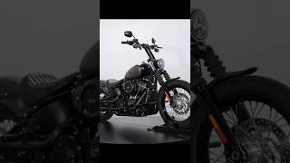 Harley Davidson and the Marlboro Manbikeborn MOTO4nKn harleydavidsonbikers bikelife motolove [upl. by Oriel]