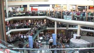 RTÉ Radio 1 Flash Mob Hallelujah Chorus in Dundrum Town Centre [upl. by Mcintyre]