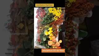 Aprende los colores del otoño en TopClass [upl. by Alhak]