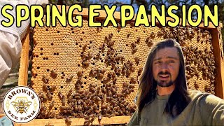 Spring Beekeeping Expansion  Texas Hill Country Beekeeping [upl. by Ayeka]