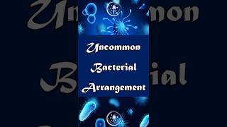 Bacterial Shapes Explained Vibrio Spirilli Pleomorphic and More bacterialdiseases biology [upl. by Annaya655]