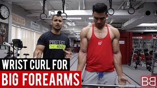 WRIST CURLS for FOREARMS Hindi  Punjabi [upl. by Averell]