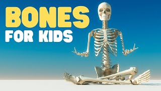 Bones for Kids  Learn about the Skeletal System for Kids [upl. by Coppins]