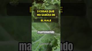 3 RAZONES PARA INCLUIR KALE EN TU DIETA saludables estilodevida sabiasque [upl. by Flemming919]