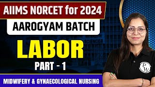 Labor Part1  Midwifery amp Gynaecological Nursing  NORCET 6 2024 [upl. by Arik500]