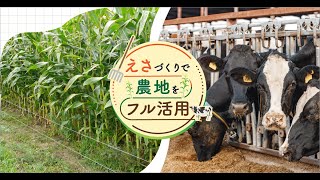 地域で飼料を生産しませんか [upl. by Moyers]