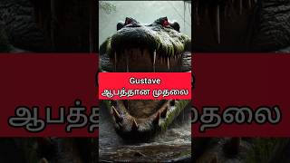 Gustave crocodile Tamil 🐊💯 interestingfacts fyp tamilfacts tamilnews mrkandan [upl. by Ttenaj548]