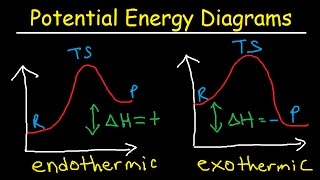 Potential Energy Diagrams  Chemistry  Catalyst Endothermic amp Exothermic Reactions [upl. by Terrell618]