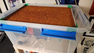 Filament Dryer Box with Removeable Desiccant Tray [upl. by Laughry380]