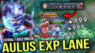 AULUS UNLIMITED TRUE DAMAGE BUILD IN EXP LANE must try  AULUS BEST BUILD AND EMBLEM 2024 [upl. by Ahsenauq100]