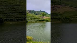 Vagamon vairalvideo nature trending [upl. by Killy]