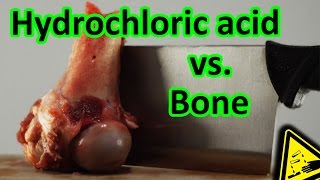 Hydrochloric Acid vs Bone total decomposition 🍖 [upl. by Enelrac]