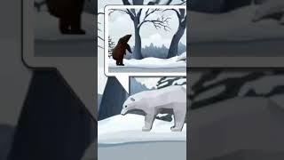 Fight POLAR BEAR vs GRIZZLY BEAR  Who would WIN [upl. by Nadnerb]