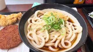 Udon noodles Tokyo japan [upl. by Geier]