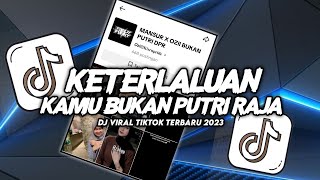 DJ KETERLALUAN  KAMU BUKAN PUTRI RAJA DAN JUGA BUKAN CINDERELLA VIRAL TIKTOK SOUND FAUJI FVNKY [upl. by Yrtnej]