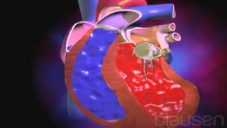 Funcionamiento de las válvulas cardíacas [upl. by Assilav]