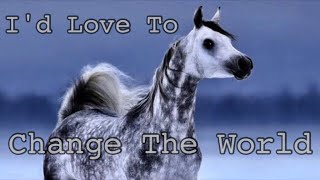 Id Love To Change The World  Arabian Horse Music Video [upl. by Paresh]