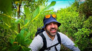 Exploring the Isle of Wight Coastal Path Final Day [upl. by Elbas430]